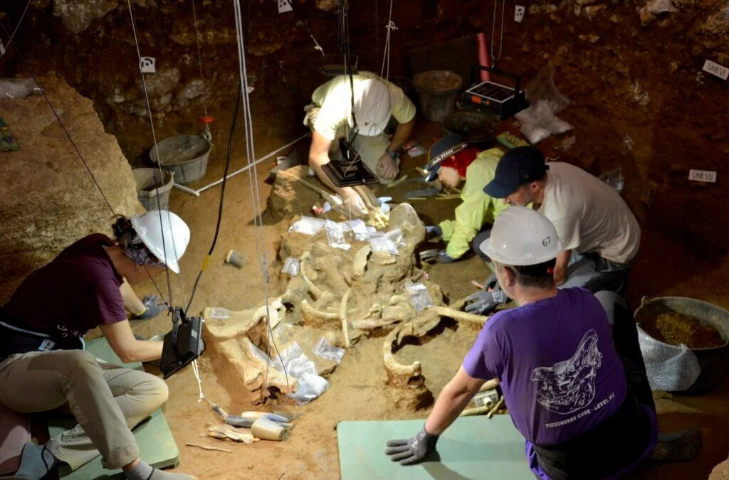 Encuentran en Barcelona los primeros rinocerontes de la península Ibérica: dos esqueletos de hace 200.000 años en extraordinarias condiciones