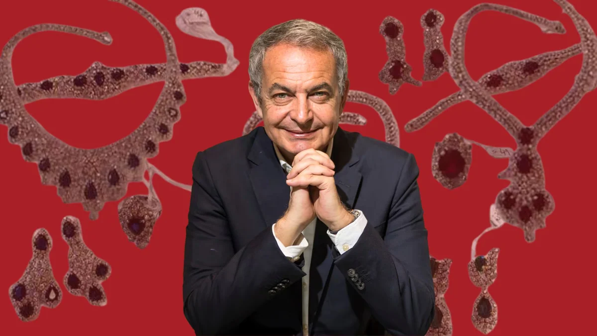 Zapatero prometió al juez que le explicaría el origen de las joyas en “una semana o diez días”, ¿qué implica que no lo haya hecho?: “No tenía obligación legal”