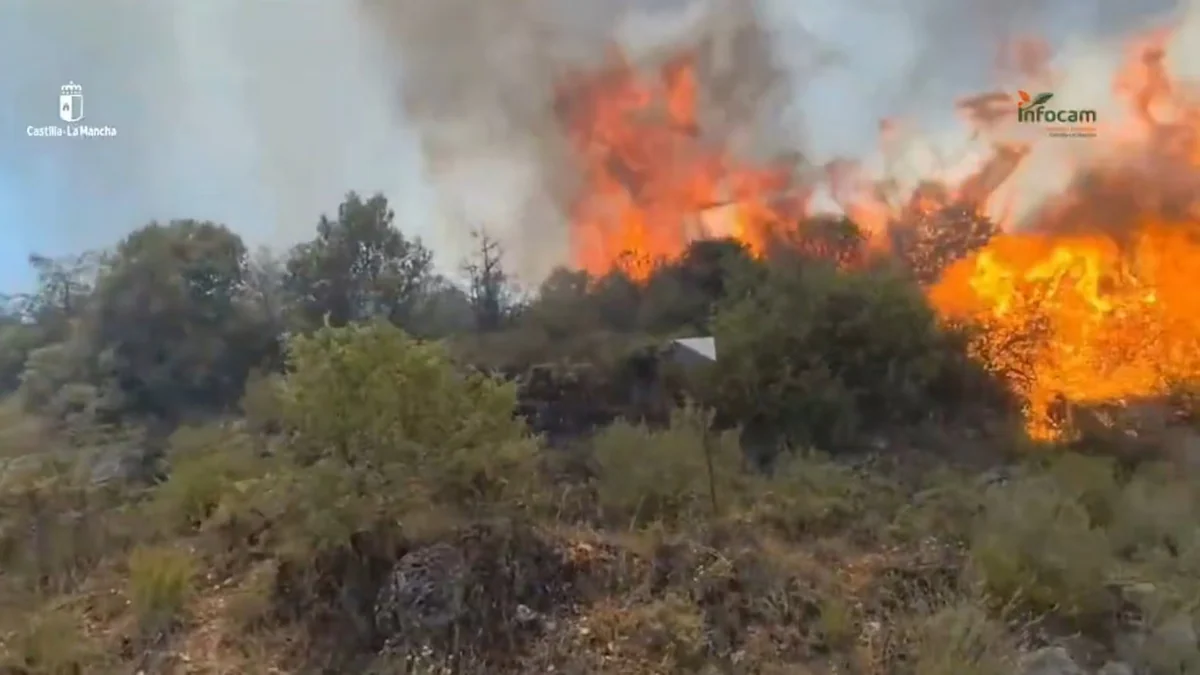 Un total de 20 medios y más de 170 personas continúan trabajando para extinguir el fuego de La Mierla