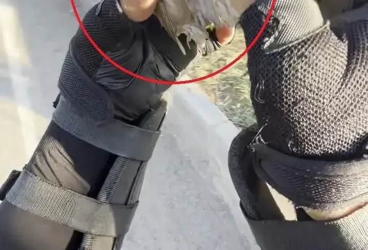 Motokurye, ağzındaki buğday tanesini çıkardığı serçeyi kurtardı