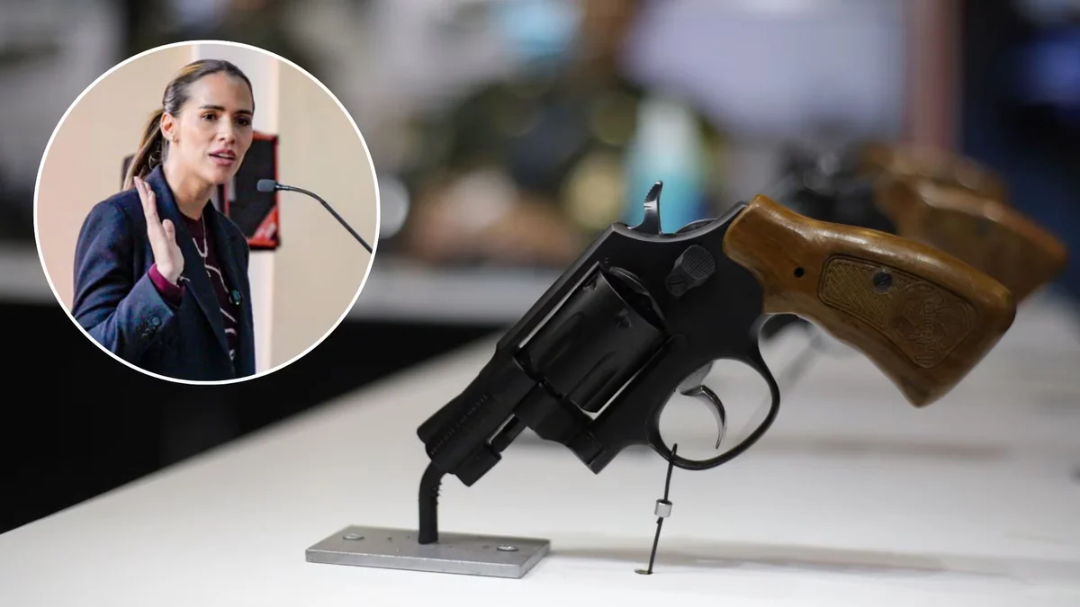 Estudiante que hirió a su compañera de un disparo, llevó el arma al colegio porque sufría de matoneo, aseguró Mafe Carrascal