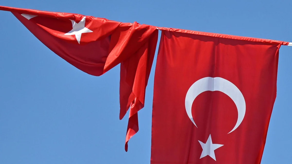Vor NATO-Gipfel: Hunderte Festnahmen in Ankara