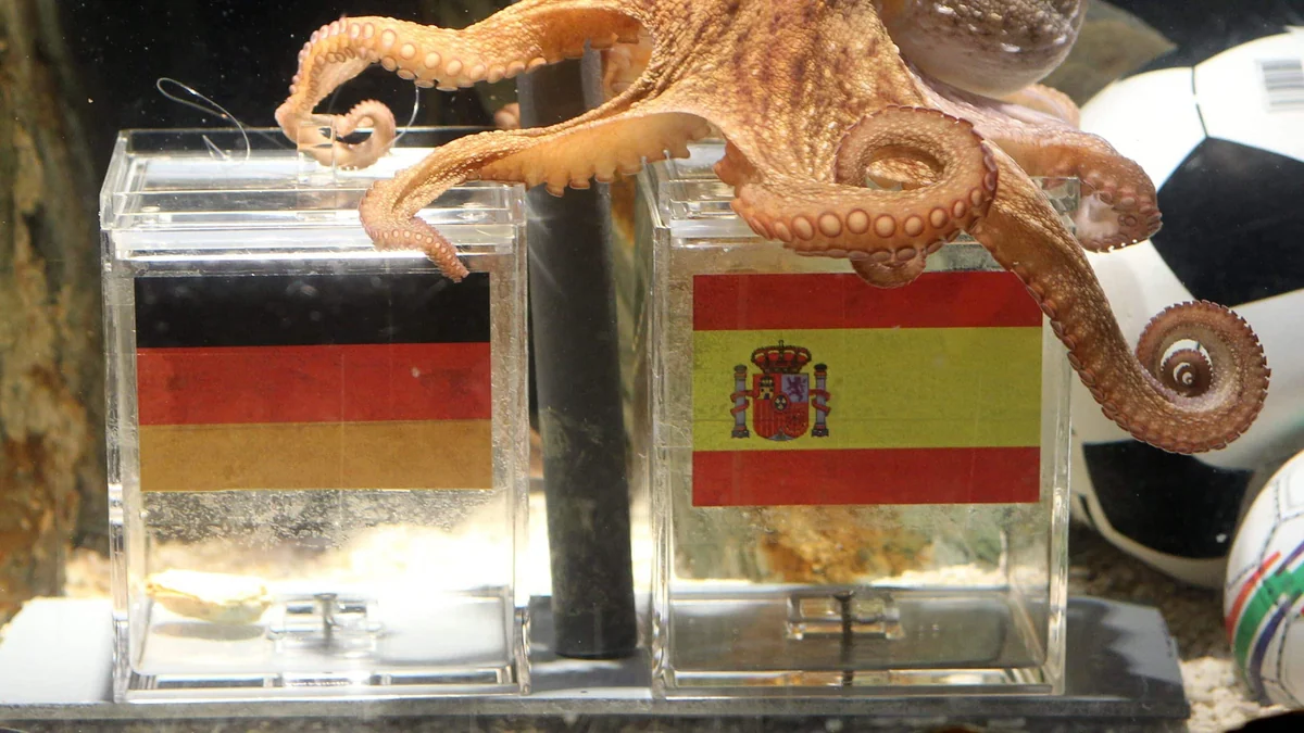 Prognosemärkte gegen Tipico: Wer gewinnt die Fußball-WM?
