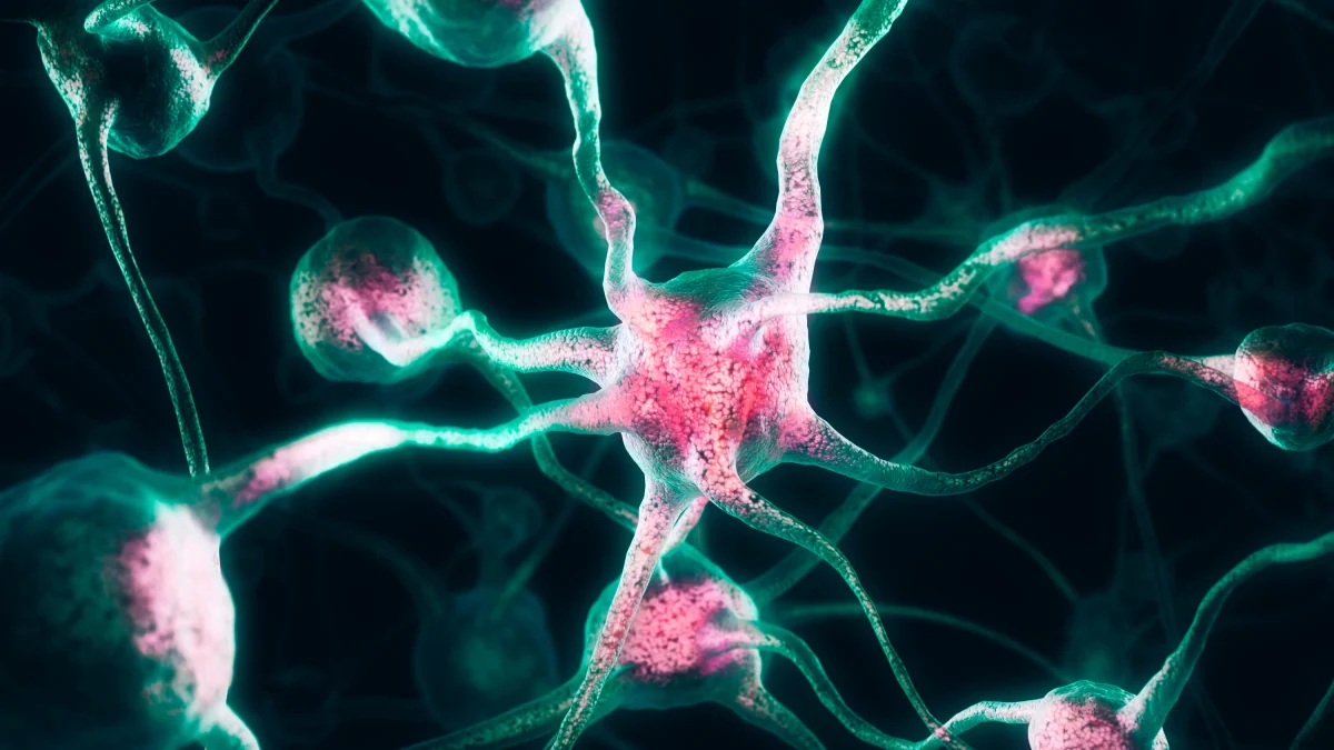 Hirnforscher Kohl: „Der Darwin der Neurowissenschaften fehlt noch“