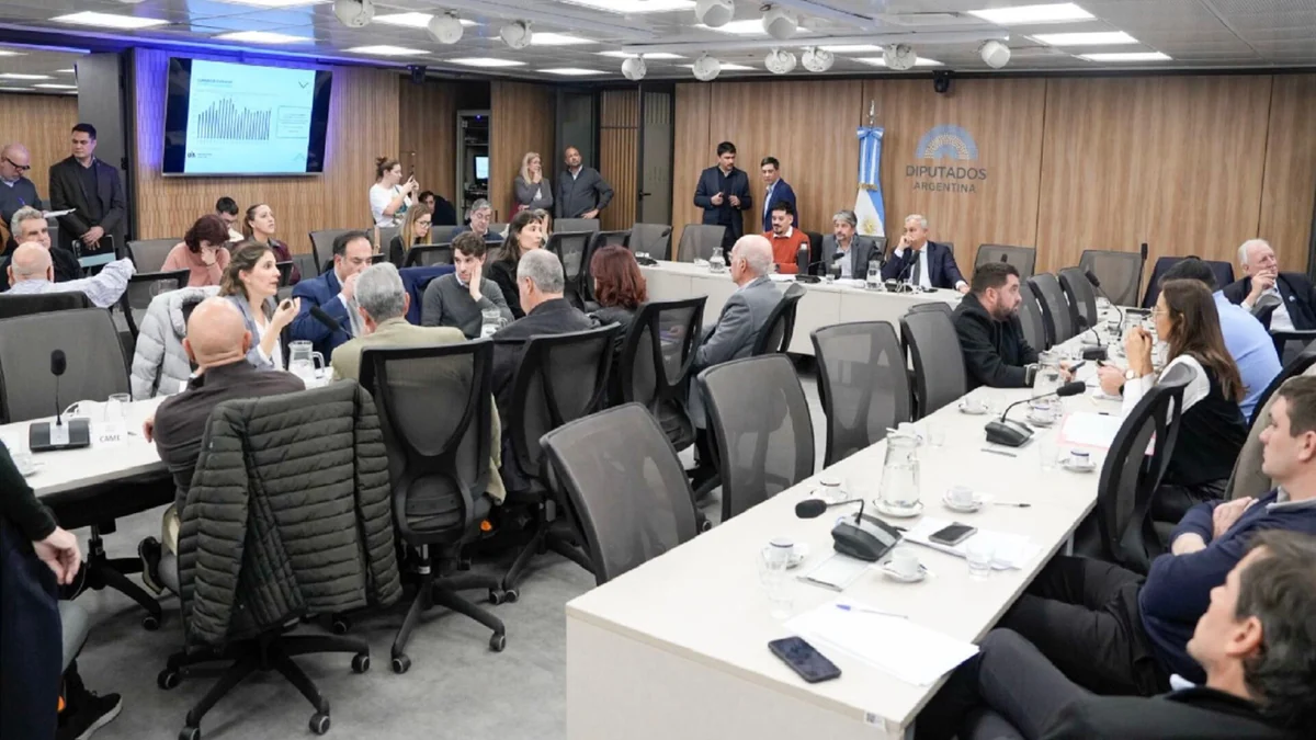 UIA y CAME alertaron sobre la pérdida de empleo y reclamaron incluir proveedores locales en el Super RIGI