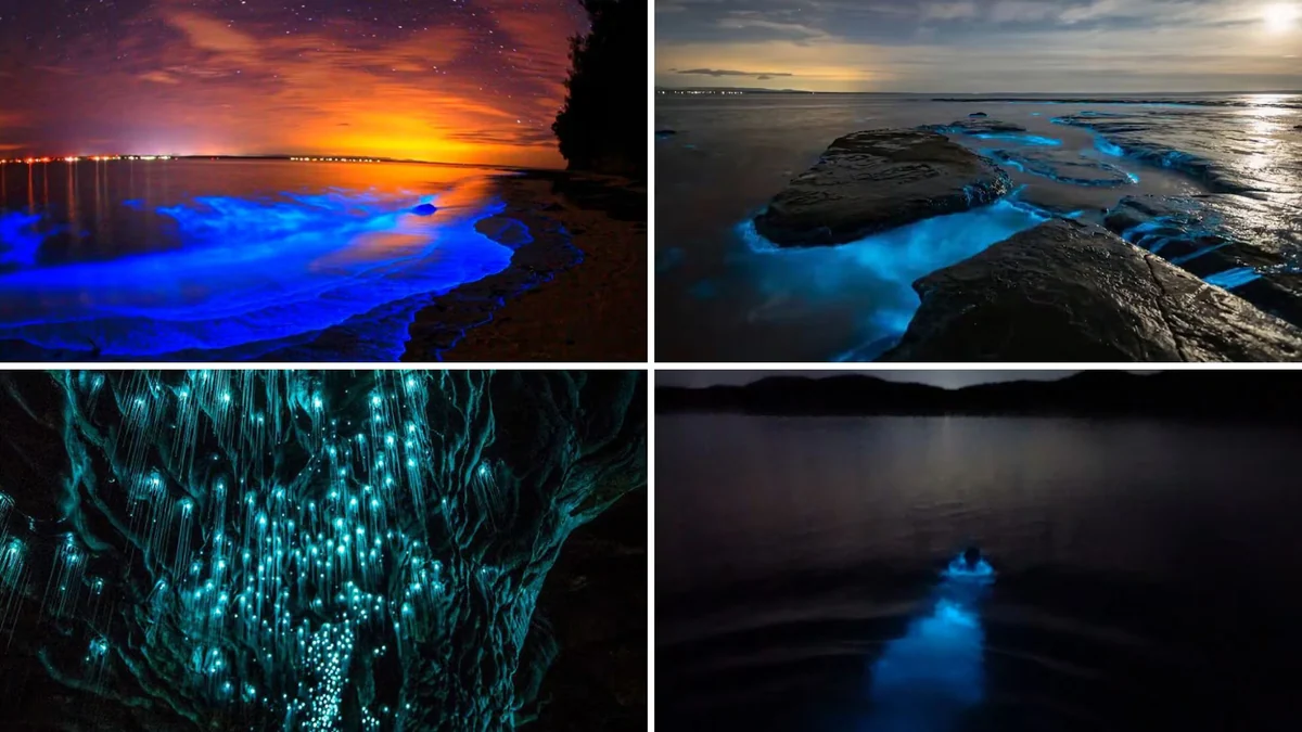Maravillas nocturnas: los 5 destinos bioluminiscentes que parecen de otro planeta