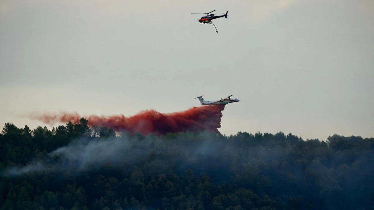 Neue Waldbrände in Südfrankreich ausgebrochen