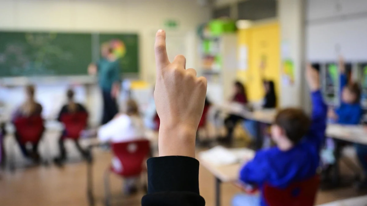 Pläne der AfD: Kann die AfD das Bildungssystem umkrempeln?