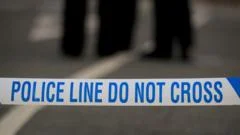 Boy, 17, stabbed to death in south London prompting murder investigation