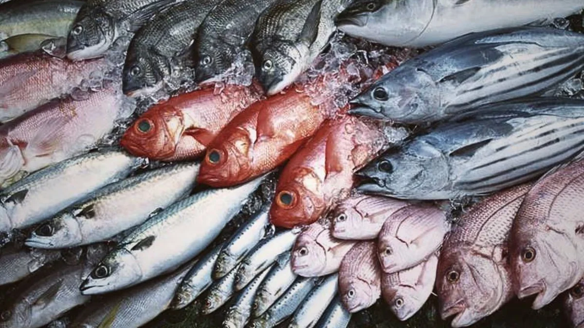Día del Pescador en Perú: el aporte de la pesca artesanal y los desafíos que enfrenta el sector