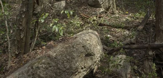 Mexiko: Unberührte Maya-Stätte im Dschungel entdeckt