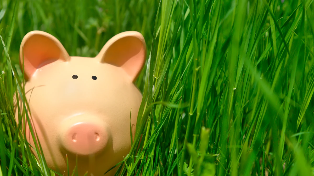 Qué banco te da más dinero si tienes 5.000 euros ahorrados