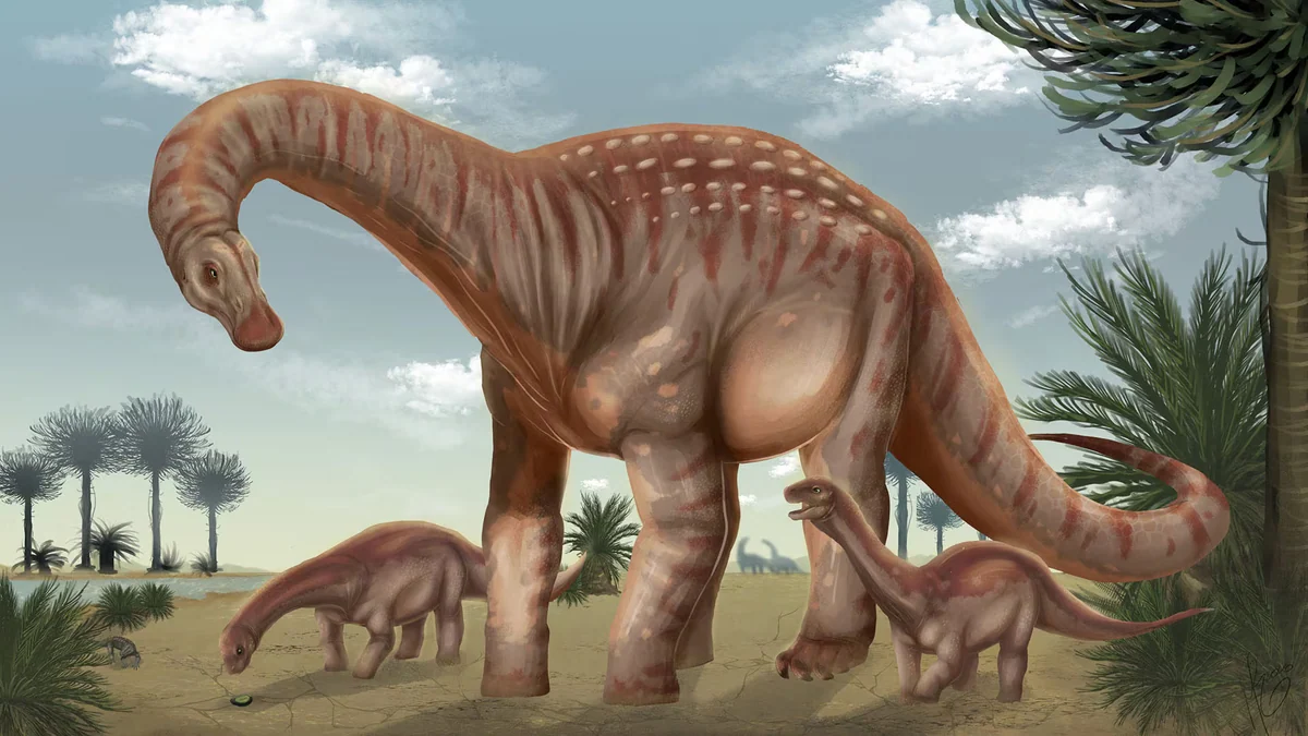 Descubrieron en Uruguay un dinosaurio gigante de 83 millones de años y lo llamaron “el protector”