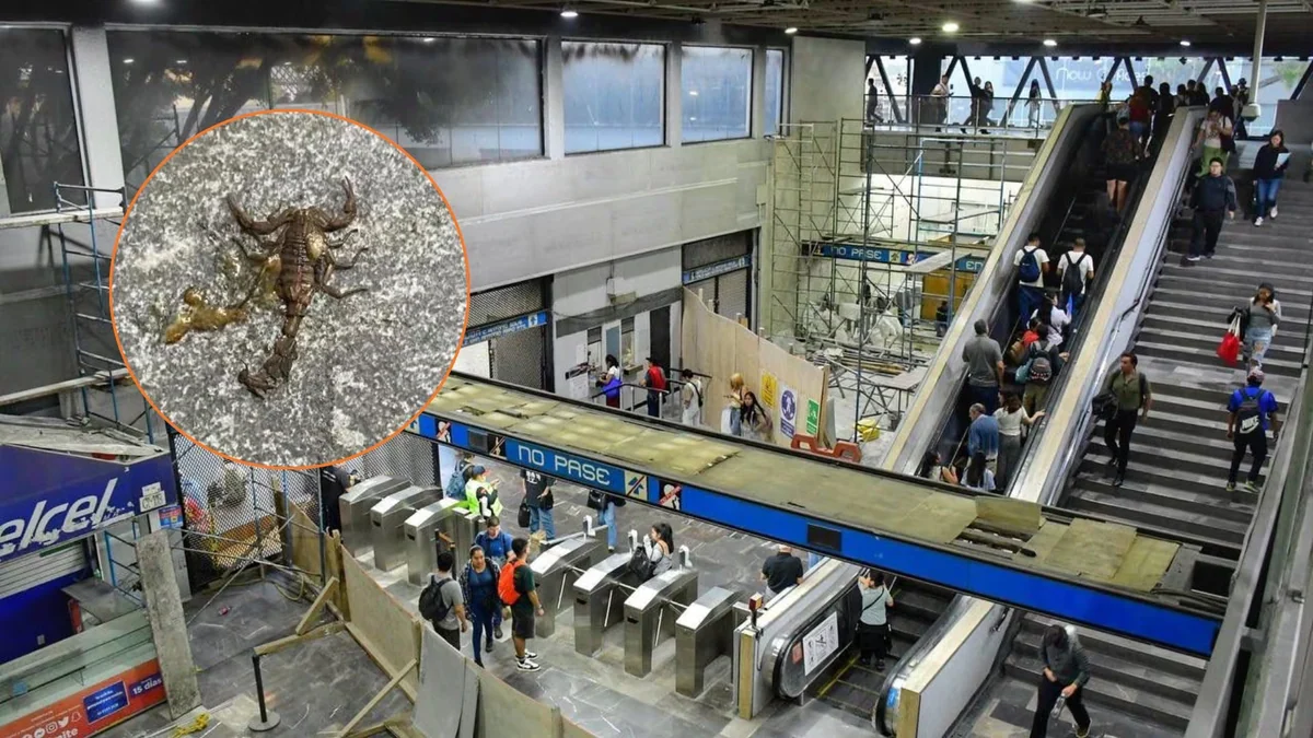 Usuario del Metro CDMX es picado por un alacrán mientras viajaba en la Línea 2