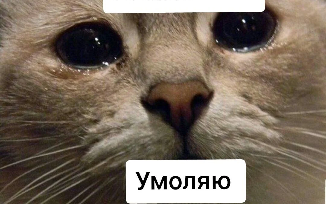 Алкоголь после 30: можно ли пить как в молодости и работать как senior?