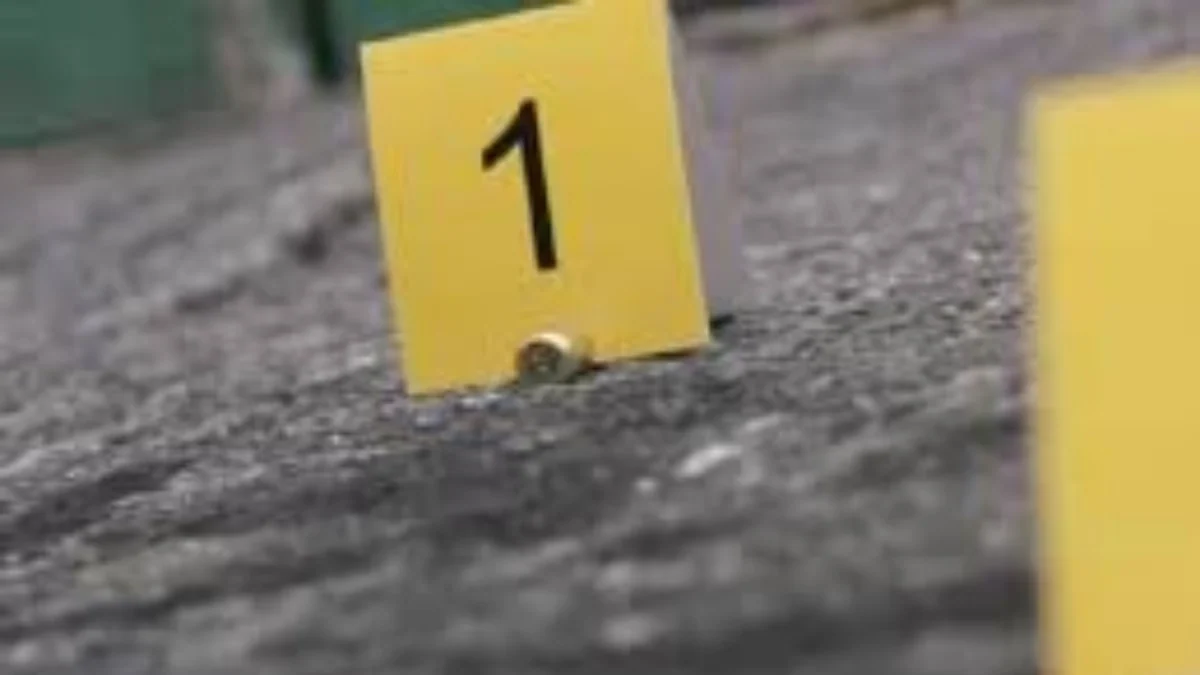 Ataque armado en Puerto Carreño, Vichada, deja dos policías en estado delicado; agresores huyeron en moto