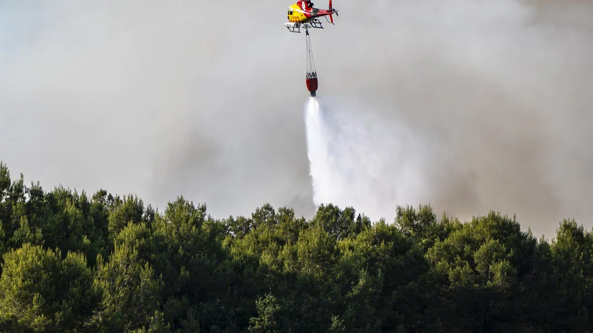 Neumólogos alertan de que el humo de los incendios puede empeorar las enfermedades respiratorias y cardiovasculares