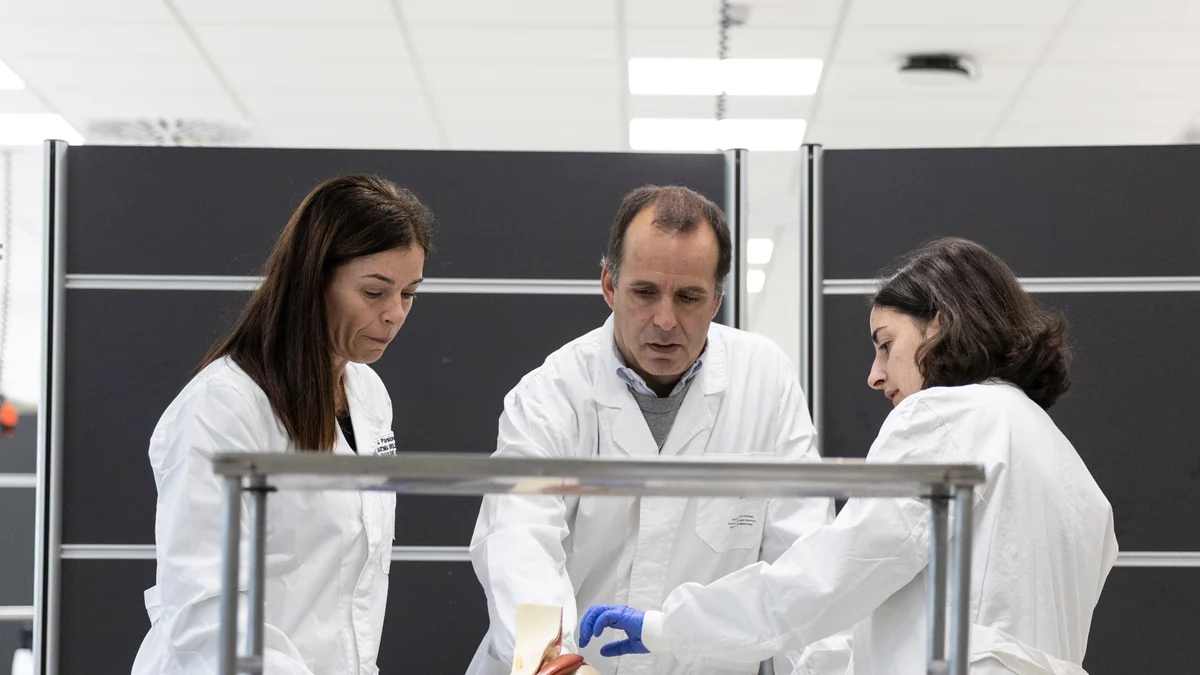 Cataluña impulsa una ley pionera para regular la donación de cuerpos a la ciencia