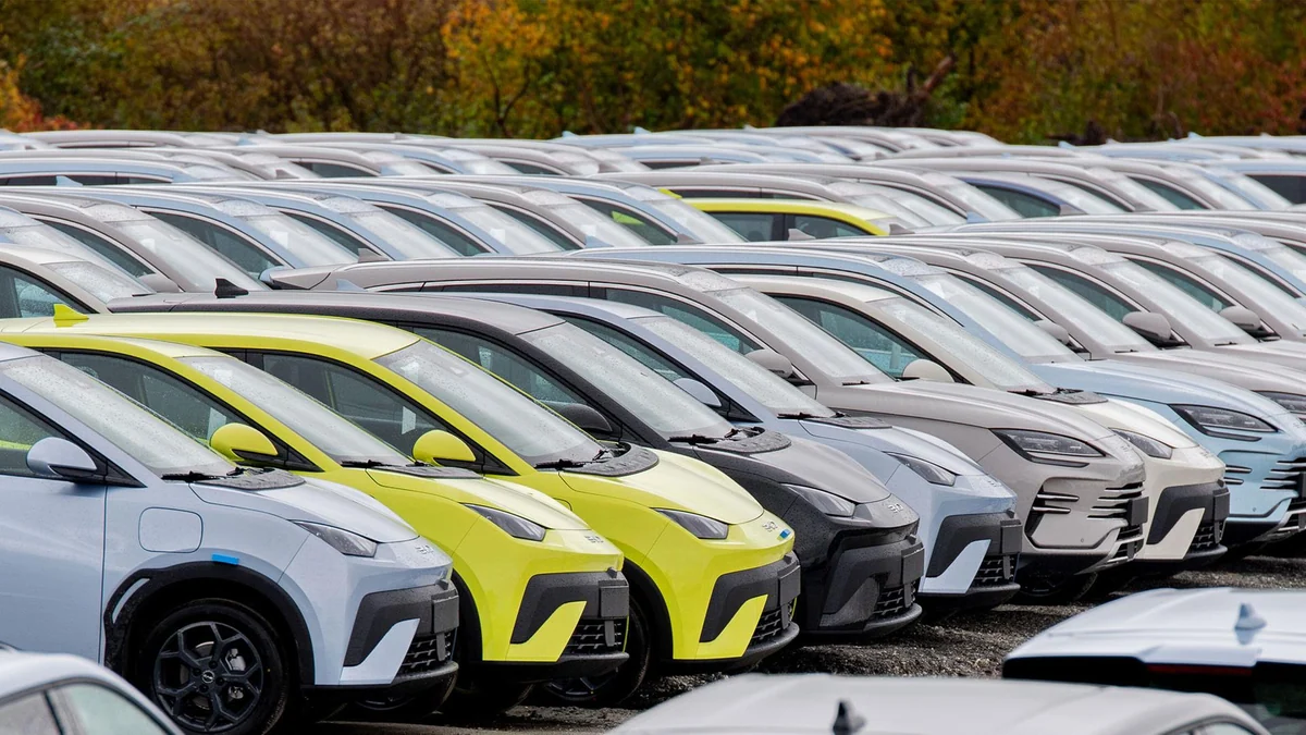Deutsche E-Auto-Förderung hilft stark chinesischen Herstellern