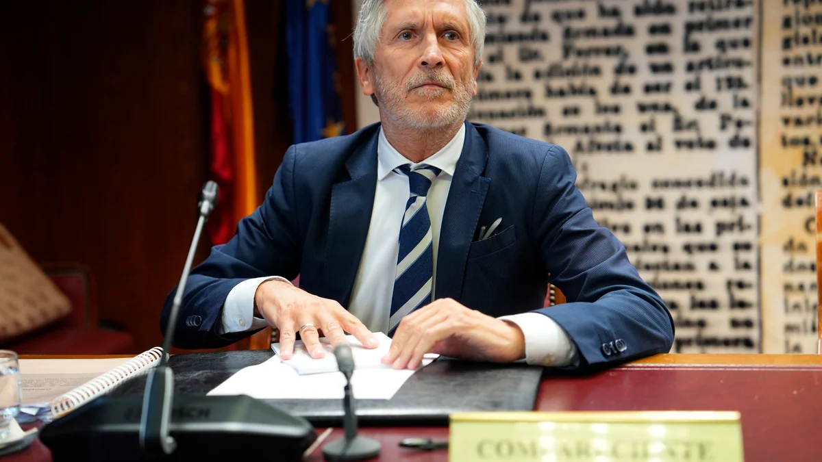 Marlaska niega conocer a Leire Díez o haber "cruzado con ella una palabra" y afirma que "la trama corrupta" está fuera del Ministerio