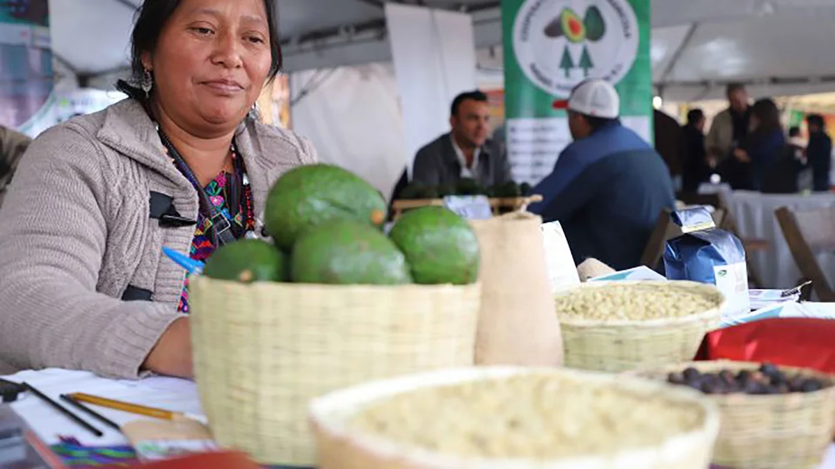 Empresas de cacao, café y aguacate impulsan negocios sostenibles en Guatemala