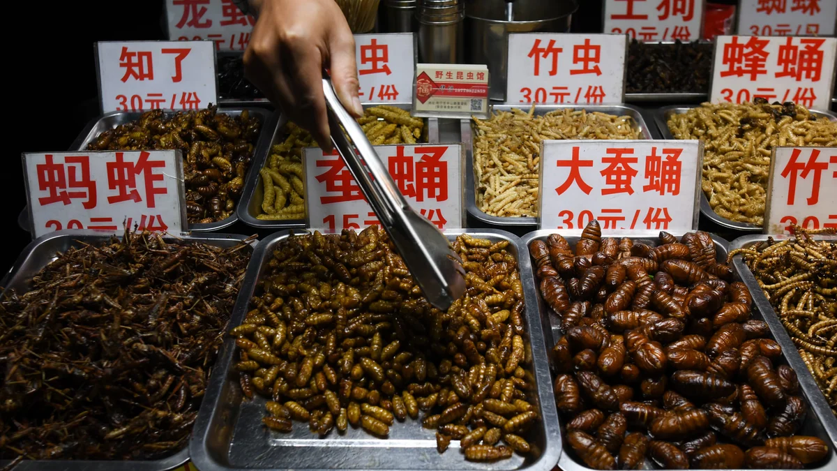 El asco de los europeos para incluir insectos en su dieta viene de lejos y es biológico