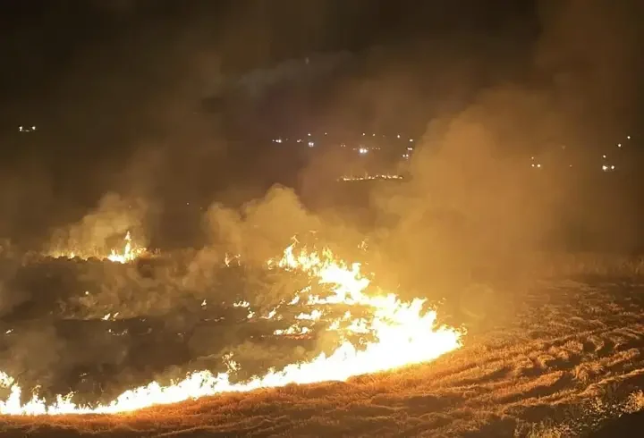 Şanlıurfa'da anız yakan 303 kişiye 21,2 milyon liralık ceza
