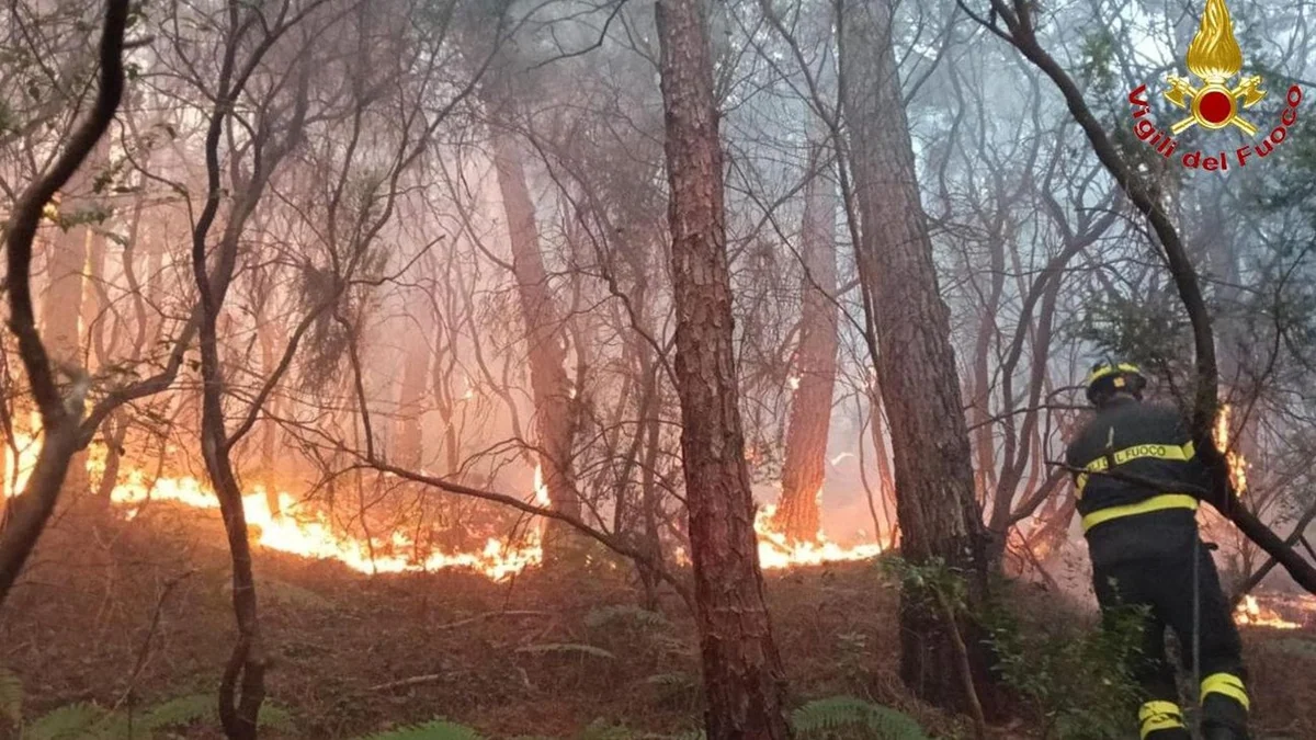 Gli incendi devastano la Val d’Ossola: 600 ettari in cenere, 120 evacuati per l’aria irrespirabile