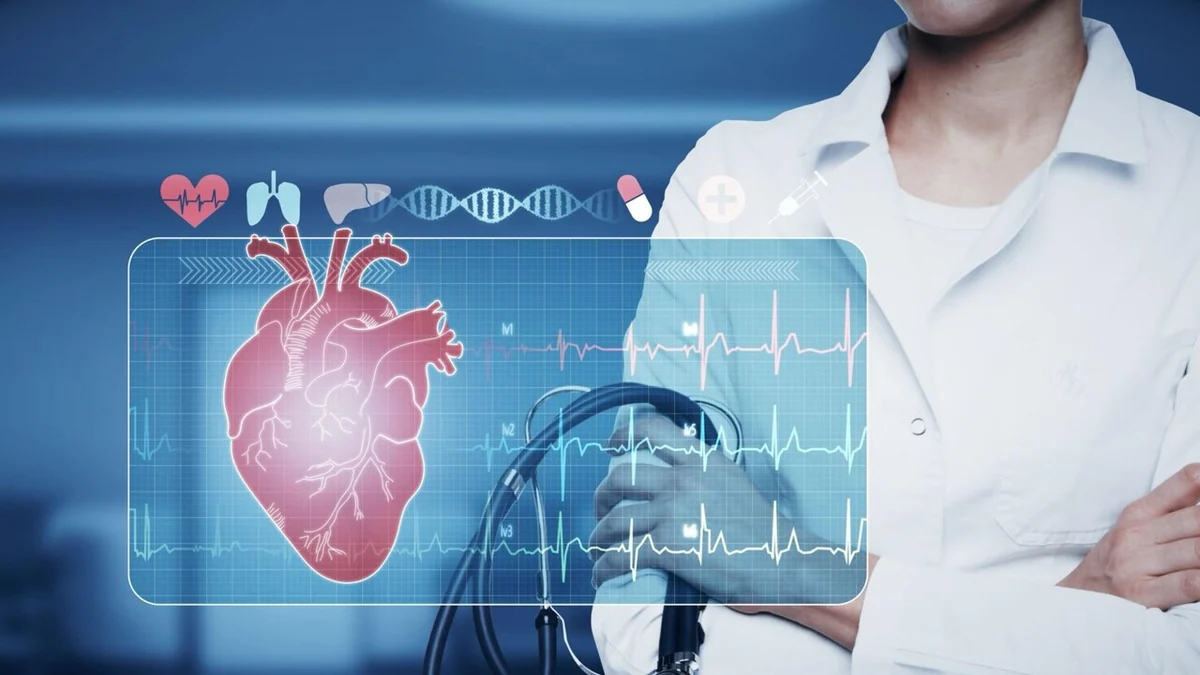 Cuore, scoperto il legame tra microplastiche e infarto