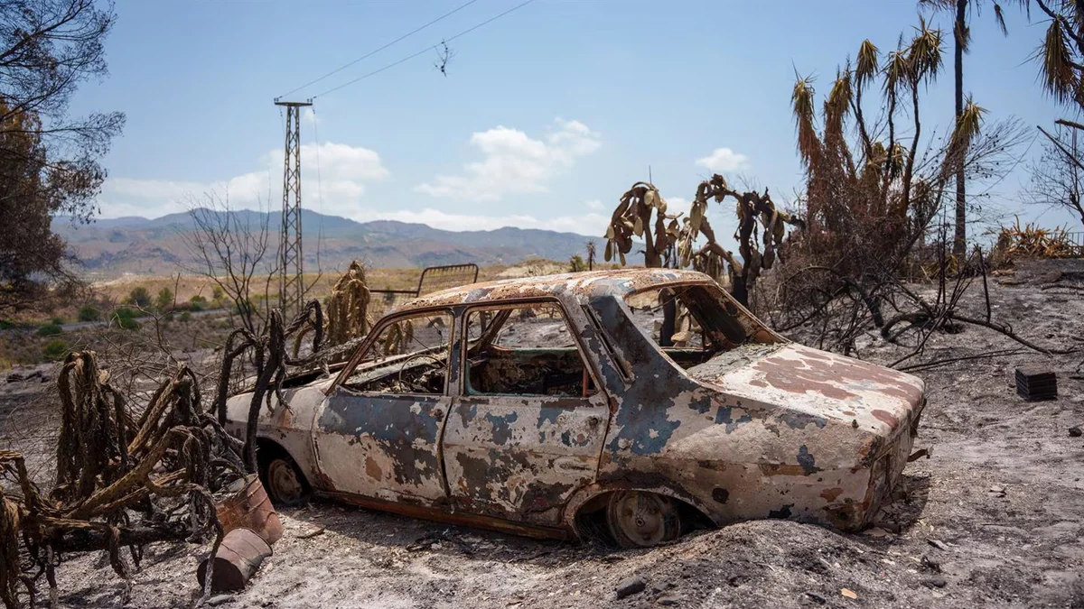 Vox achaca los incendios forestales al "ecofanatismo": "La restauración de la naturaleza aviva la llama"