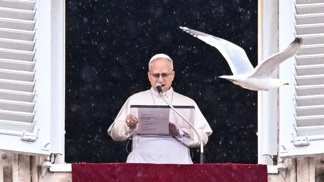 Il Papa: 'Le polarizzazioni e il disprezzo portano distruzione'