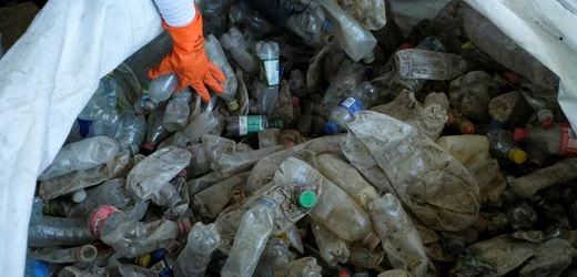 Plastikmüll: Einwegverpackungen vermüllen Meere und Küsten am stärksten