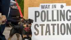 More than 60 Labour MPs call for review of UK voting system