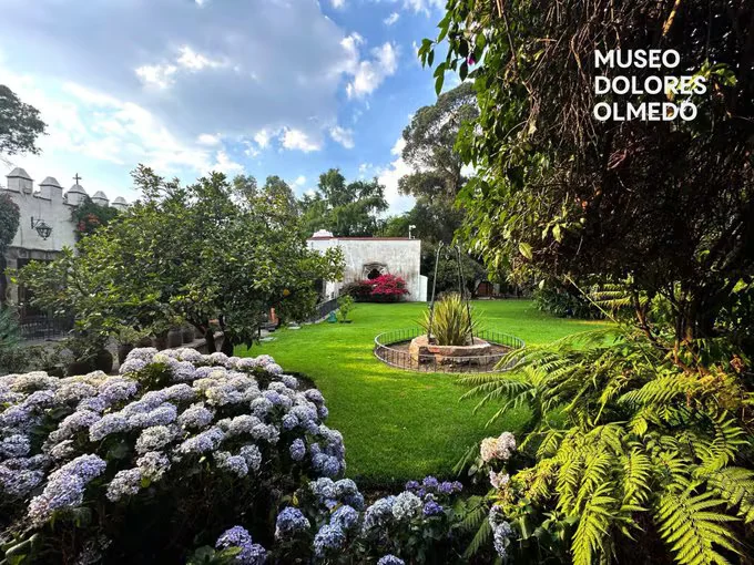 ¿Quieres aprender a pintar? El Museo Dolores Olmedo ofrece talleres gratis para toda la familia y público en general: días, horarios y cómo llegar
