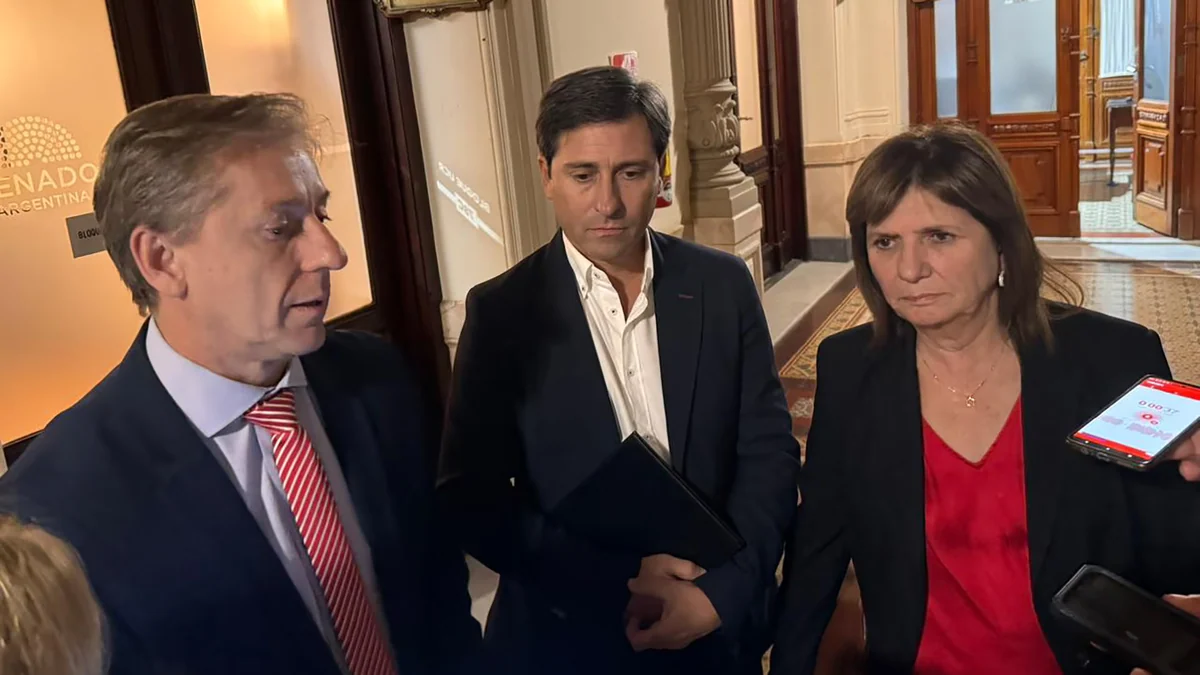El Gobierno prometió cambios para salvar la ley de propiedad privada en el Senado y quiere sesionar en una semana