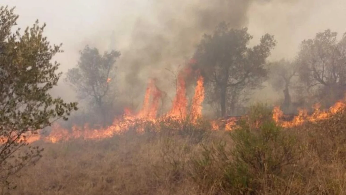Incendi, più di 20mila ettari in fumo fra Francia, Spagna e Portogallo. Sale l’allerta in Italia