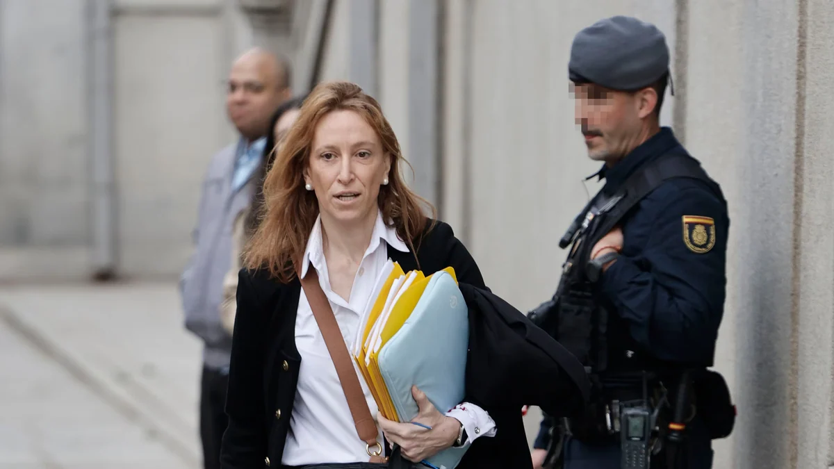 La abogada de Koldo entrega a la UCO documentación para intentar desmentir que sobornara a la empresaria Carmen Pano