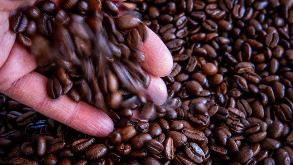 bis zu 50 Cent je Packung: Kaffeepreise sinken abermals