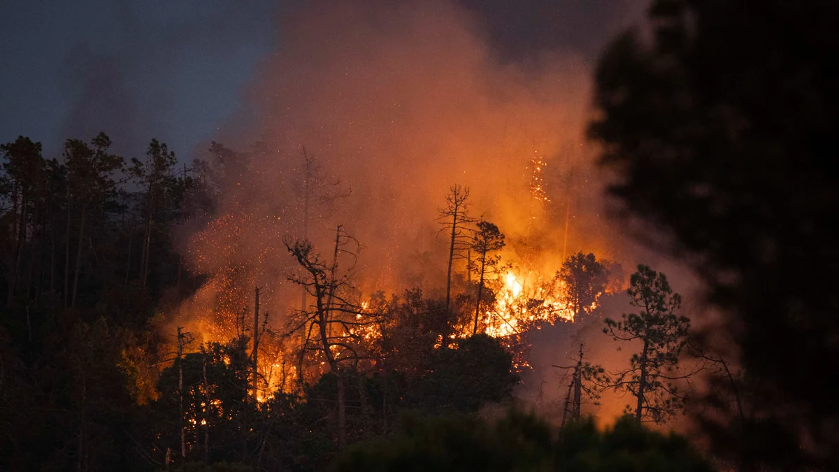 El fuego de Les Gavarres alcanza casas de una urbanización de Calonge, en la Costa Brava