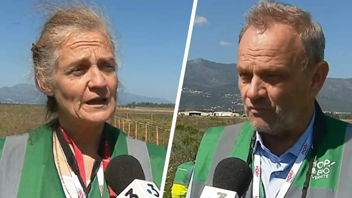 Hantavirus : une femme testée positive, deux vétérinaires et journalistes animaliers... Ce que l’on sait des cinq Français rapatriés