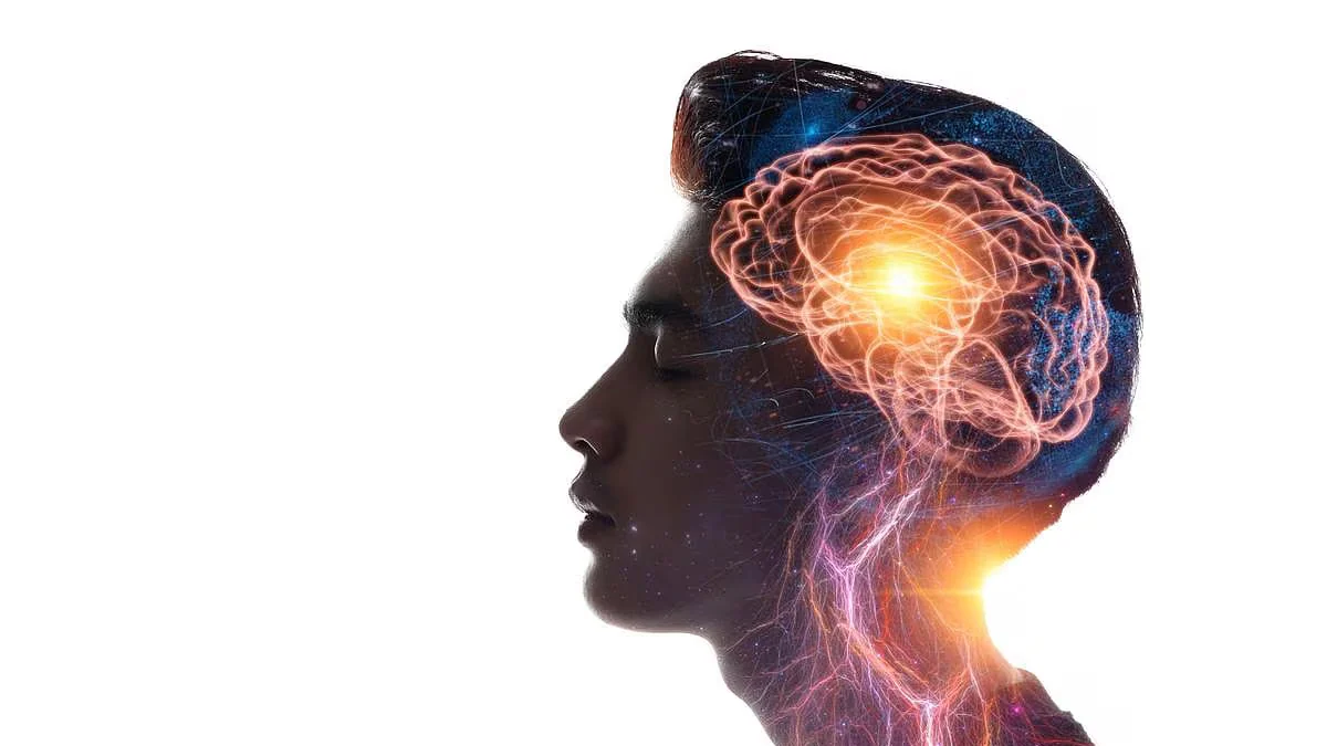 Aprender idiomas podría mantener un cerebro más joven, según un estudio