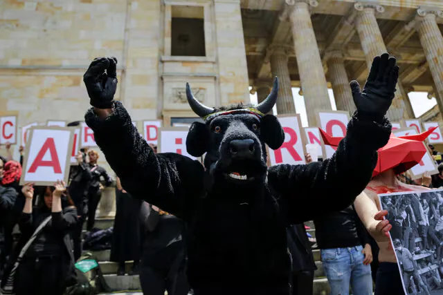 Gobierno Petro reglamentó la prohibición de las corridas de toros en Colombia, previo al inicio de la Ley No más Olé: esto dice el decreto