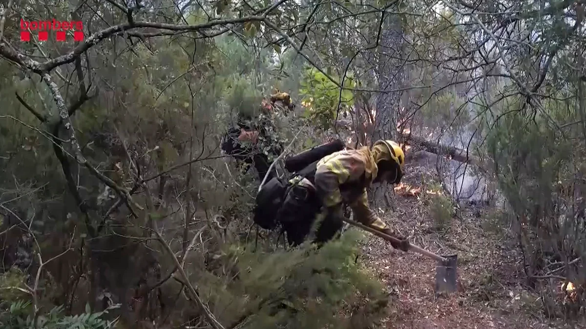 El fuego de Les Gavarres (Girona), con 10.000 hectáreas en riesgo, reabre el debate sobre la gestión forestal: "Hay que ponerse las pilas, el bosque está descuidado y es un polvorín"