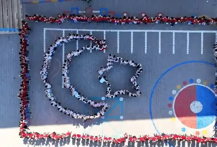 Şırnak'tan Milli Takım'a Ay-Yıldızlı koreografili destek