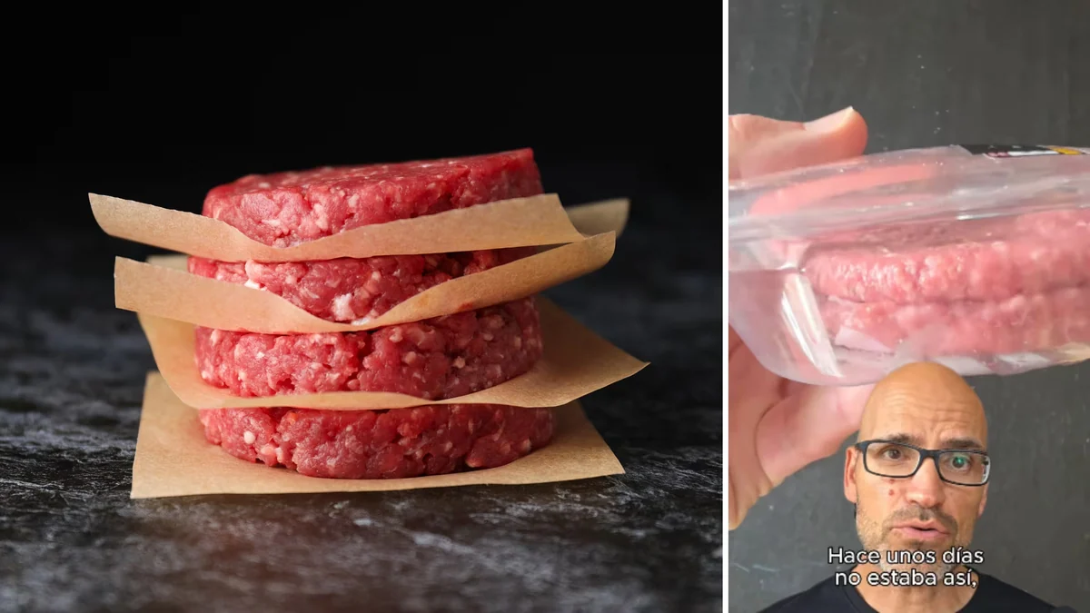 Miguel Ángel Lurueña, tecnólogo de alimentos: “Si un envase de hamburguesa está abombado, lo más probable es que se hayan desarrollado microorganismos”