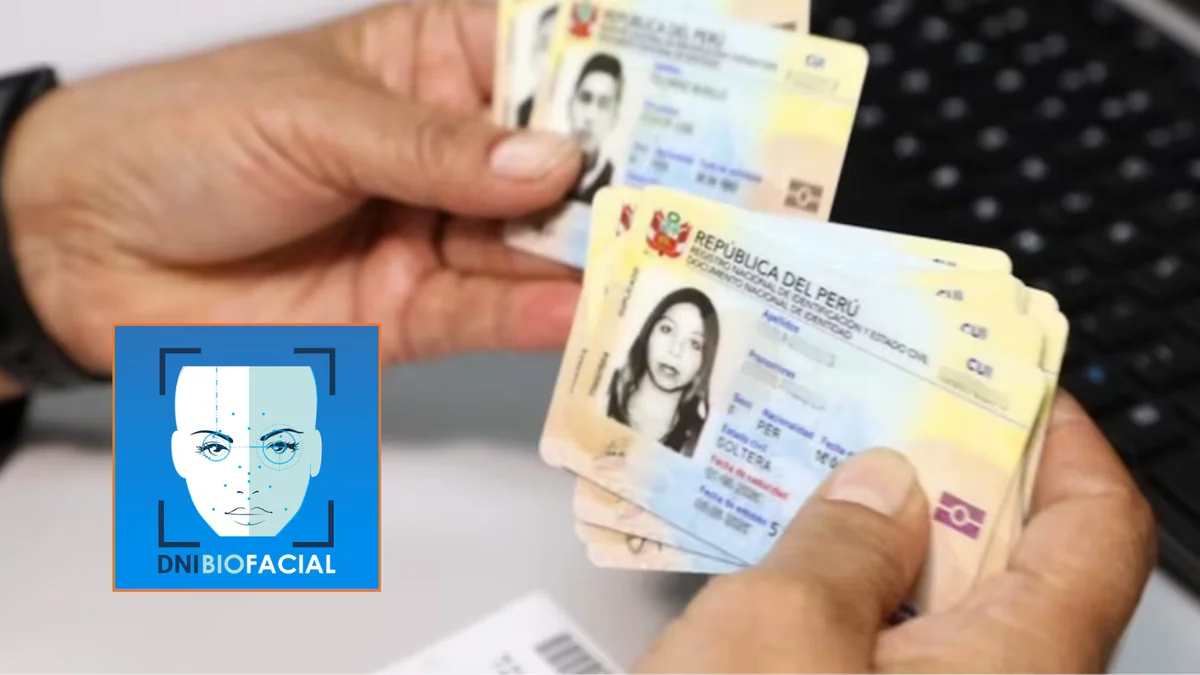 Qué hacer si perdí mi DNI: pasos para pedir duplicado y evitar suplantación