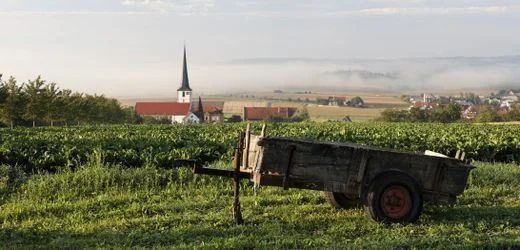 Wahlfälschung in Deutschland? Der SPIEGEL hat spektakuläre Fälle untersucht