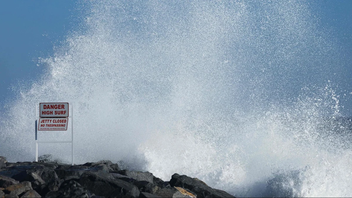Möglicher "Super El Niño" in den USA: Extremwetter und mehr Haie