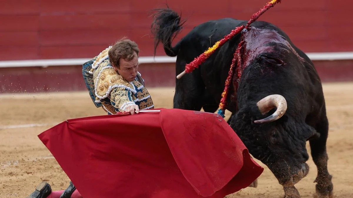 La reivindicación de Román y la entrega de Nek Romero en Valencia