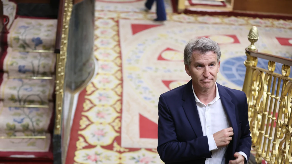 Feijóo conmina a los socios ante la entrada de la UCO en Ferraz: "Esto es agónico, irrespirable, apesta"